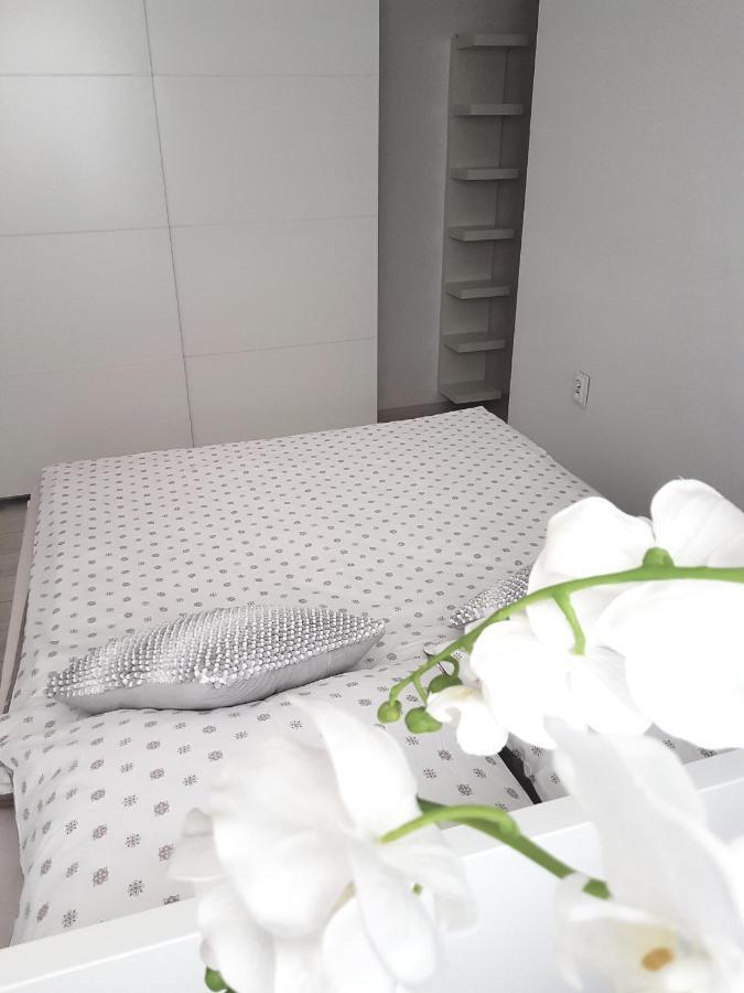 בולסלאביש Boleslaviaapartments - Apartament Antonella מראה חיצוני תמונה